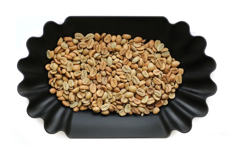 INDONESIA FRINSA COLLECTIVE EDUN - фото 1