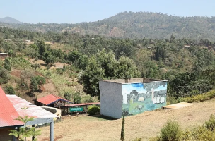 ETHIOPIA ARDENT SHANTA GOLBA