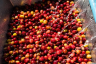 ETHIOPIA KELLEM WOLLAGA