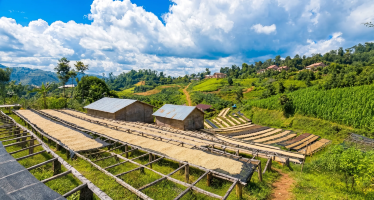 RWANDA NYAMASIKE HILLS