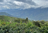 PERU PARIWANA SAN IGNACIO
