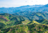RWANDA GASHYUSHYA HILL