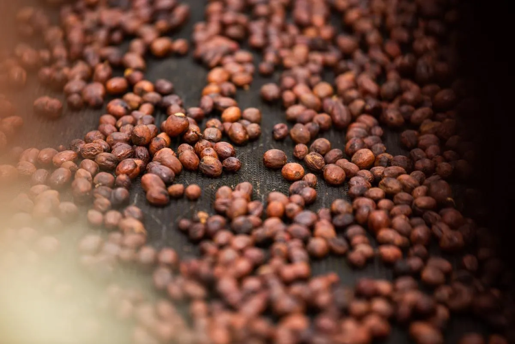 BRAZIL LUCIANA NUNES - фото 1