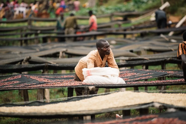 ETHIOPIA SHENTAWANE - фото 1
