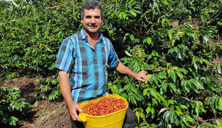 COLOMBIA PINK BOURBON - фото 1