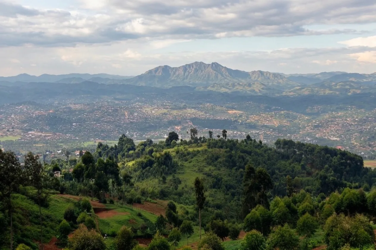 RWANDA BUTEMBO RWANDA BUTEMBO - фото 1