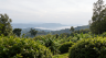 RWANDA NGOMA