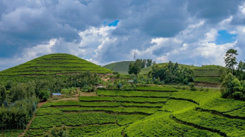 RUANDA GITOKI