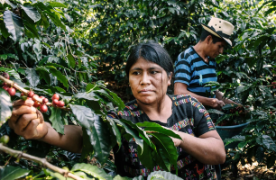 VENEZUELA VILLANUEVA