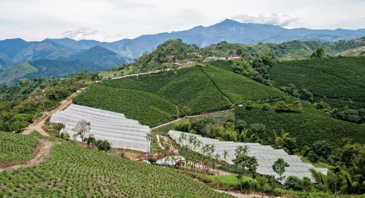 COLOMBIA ANTIOQUIA COLOMBIA ANTIOQUIA - фото 1