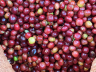 ETHIOPIA GUJI MAR COF WASH