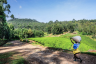 RWANDA NYUNGWE