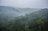 RWANDA NYUNGWE