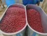 COLOMBIA NARINO ANAEROBIC