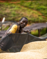 ETHIOPIA GUJI