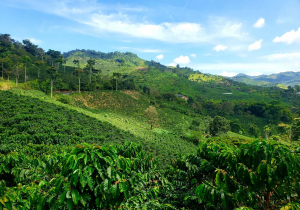 COLOMBIA CAUCA POPAYAN