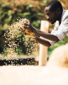 ETHIOPIA SHENTAWANE