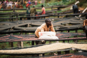 ETHIOPIA SHENTAWANE