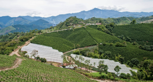 COLOMBIA ANTIOQUIA