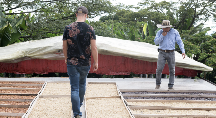 COLOMBIA DIOPHANOR RUIZ COLOMBIA DIOPHANOR RUIZ - фото 1